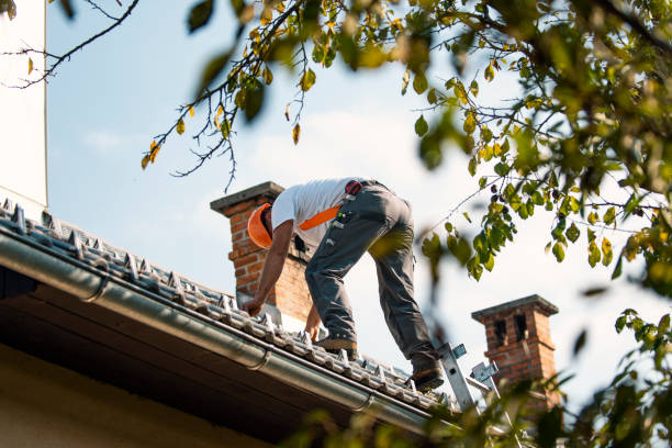 Best Flat Roof Repair Services  in Tton, IL