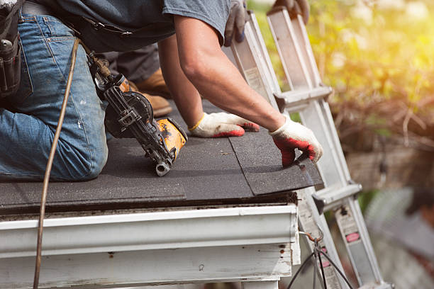Best New Roof Installation  in Tton, IL