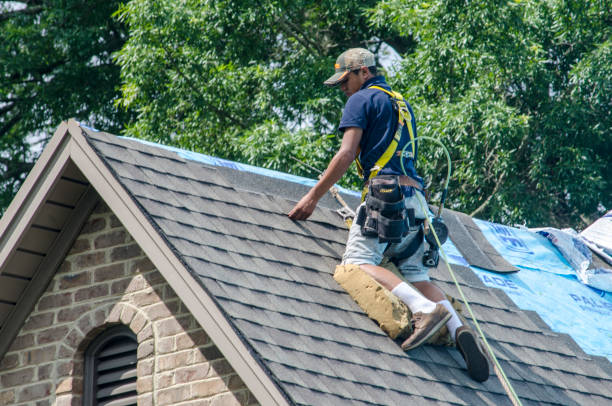 Best Storm Damage Roof Repair  in Tton, IL